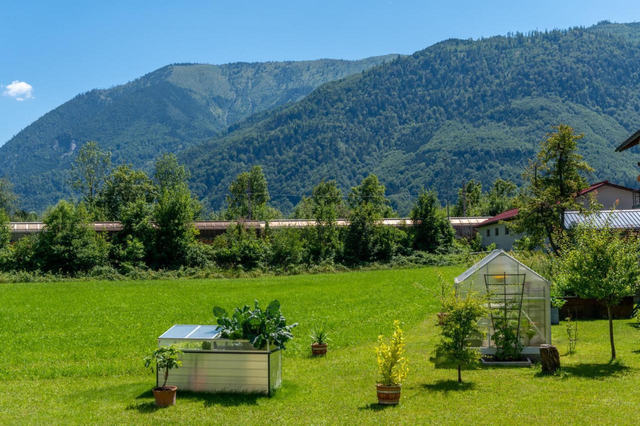 Fruehstueckspension Haus Ahamer Affittacamere